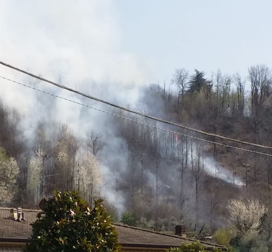 L’incendio boschivo a Provaglio è stato doloso