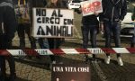 No al circo e allo sfruttamento animale: a Palazzolo la manifestazione