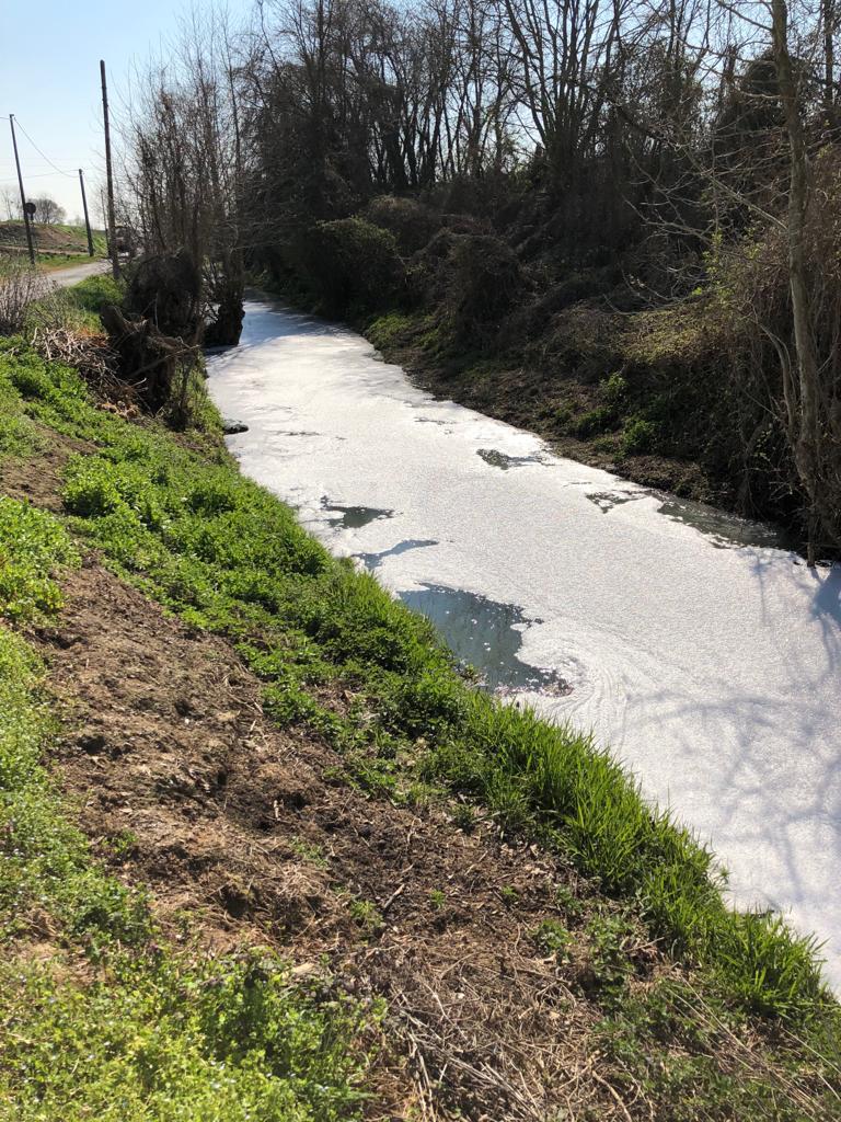 Schiuma bianca nella roggia Luzzaga