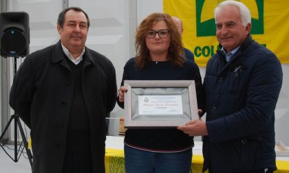 Gambara scommette sui giovani con Serra Creativa