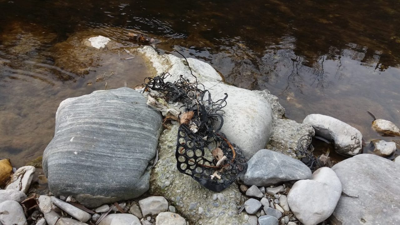 Saranno smaltiti i rifiuti abbandonati lungo l’Oglio a Paratico