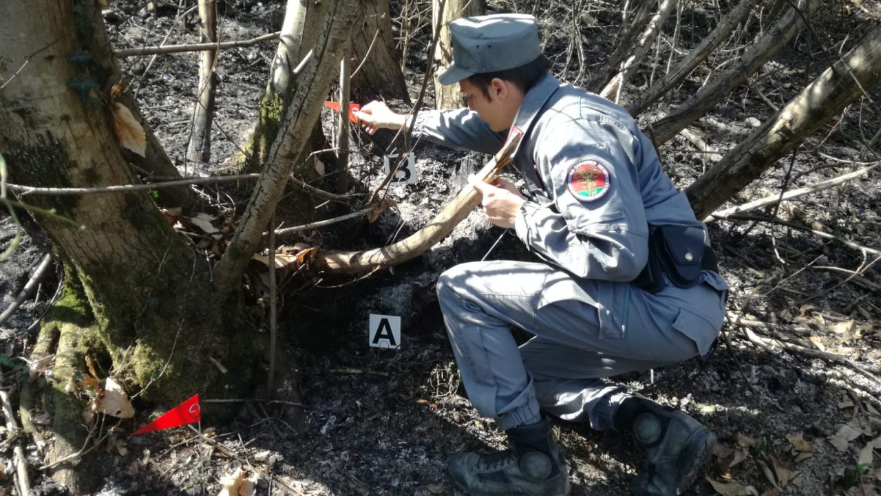 Incendi nei boschi bresciani, sei persone denunciate