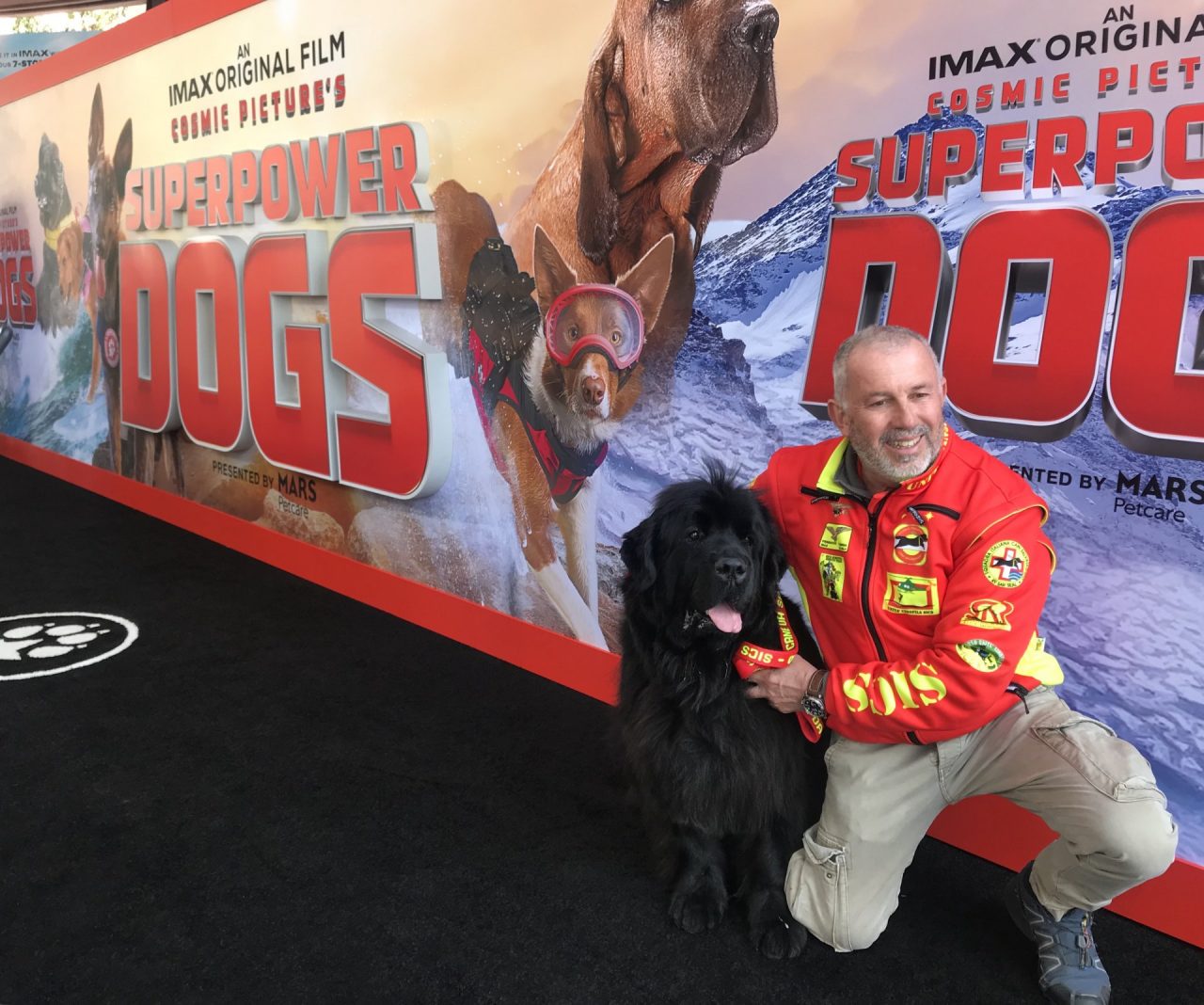 “Reef”, il terranova caprianese, è una star del cinema