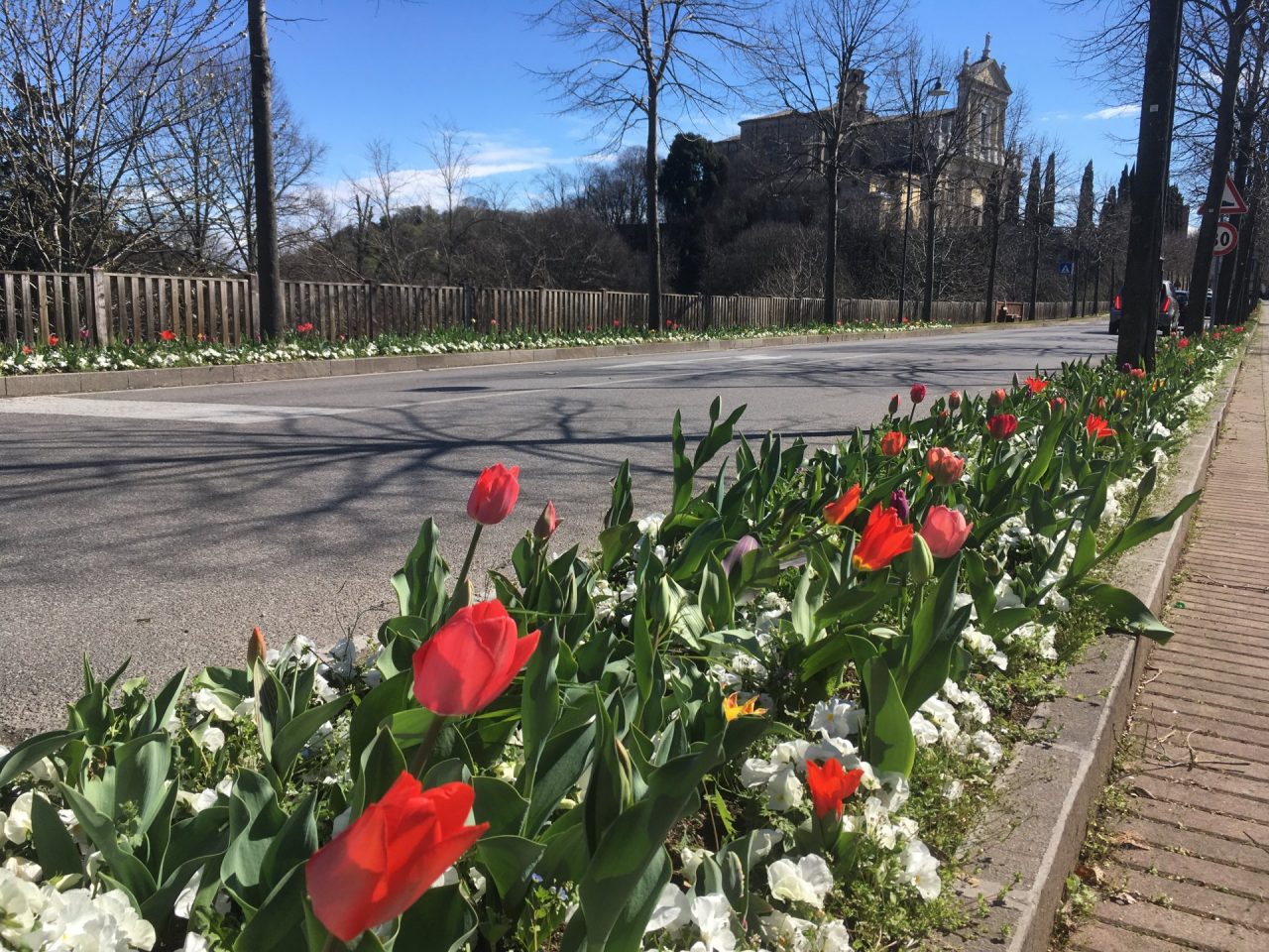 Castiglione delle Stiviere città dei fiori