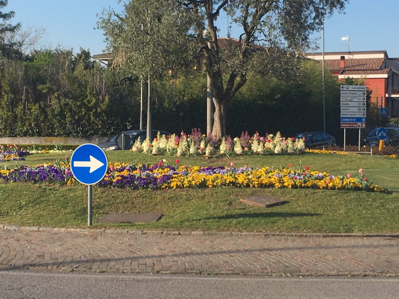 Maggior cura del verde a Castiglione delle Stiviere