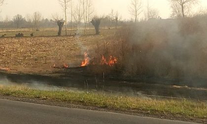 Incendio nei campi a Manerbio I VIDEO