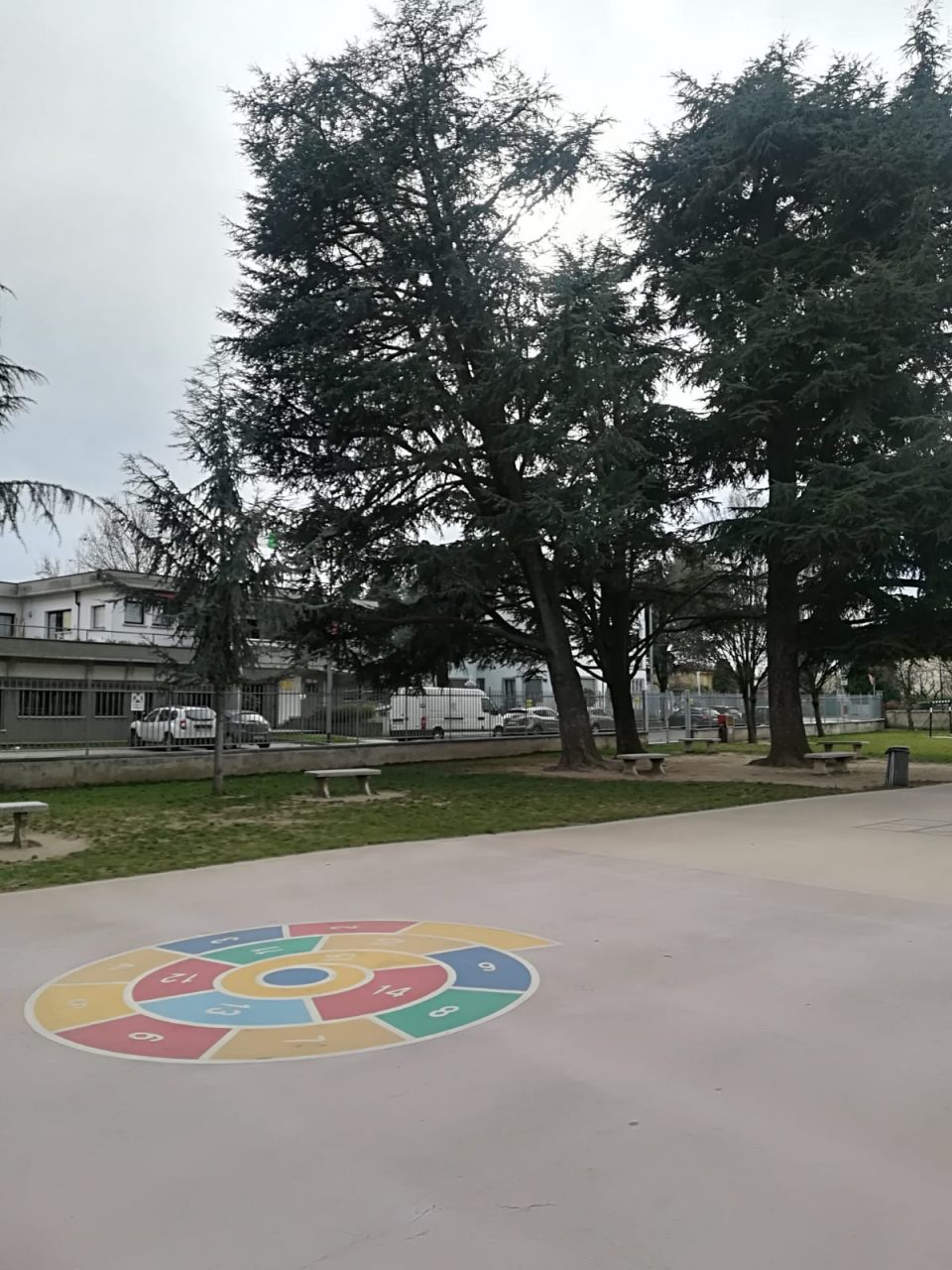 Vento forte a Manerbio, piegato un albero alle elementari