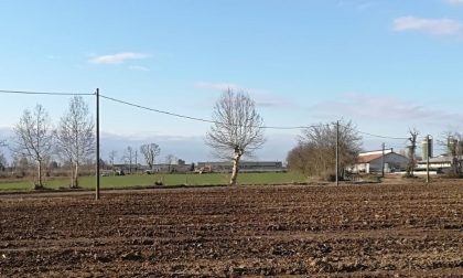 Polemica sulle porcilaie di Castegnato: “un impianto inevitabile?”