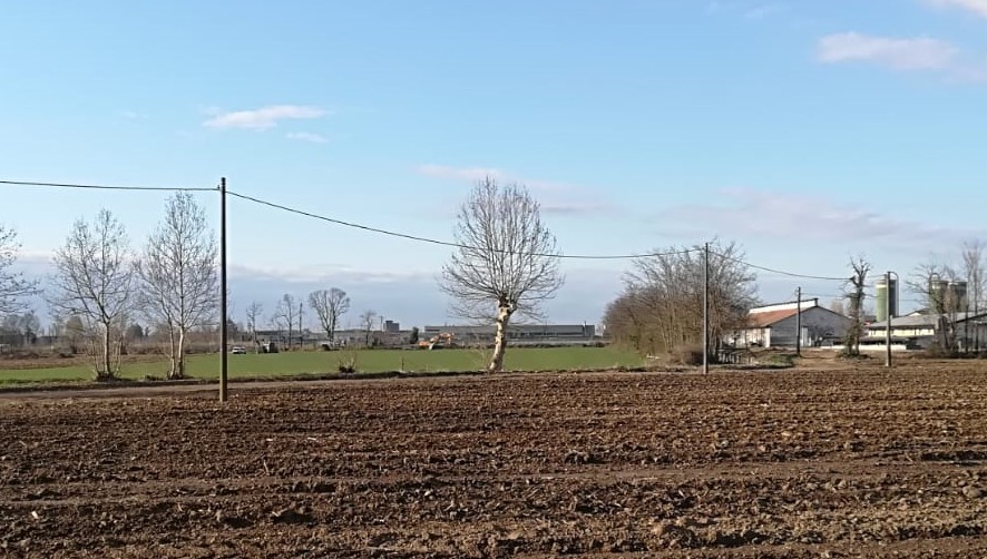 Polemica sulle porcilaie di Castegnato: “un impianto inevitabile?”