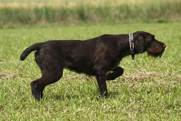 II° Memorial Ferri a Castel Goffredo