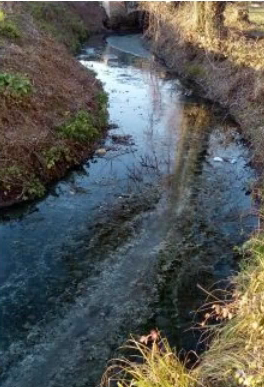La denuncia del consigliere: “Una fogna a cielo aperto”