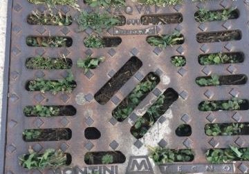 Il Comune investe sulla pulizia delle caditoie