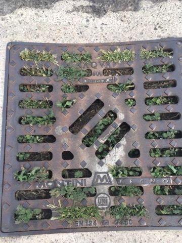 Il Comune investe sulla pulizia delle caditoie