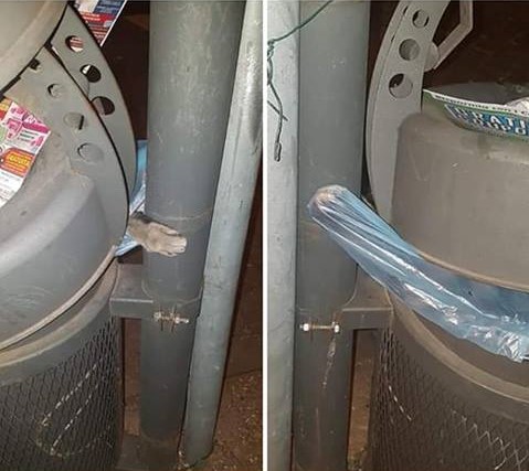 Gatto morto gettato nel cestino di via Marengo a Chiari