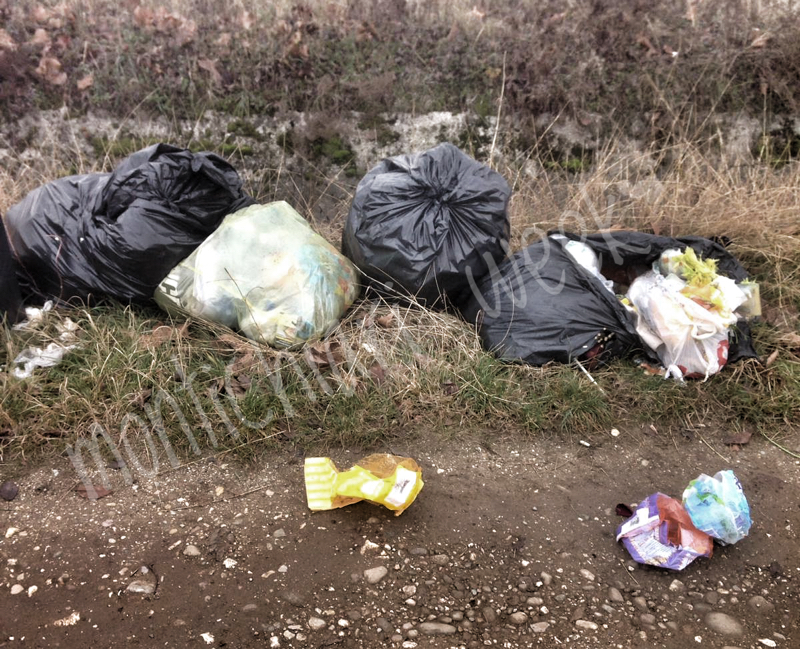 Rifiuti lungo il canale Arnò