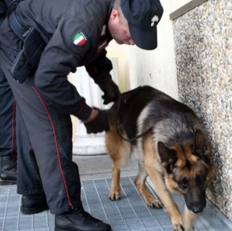 Droga tra i medicinali e negli ovetti di cioccolata, arrestato a Remedello