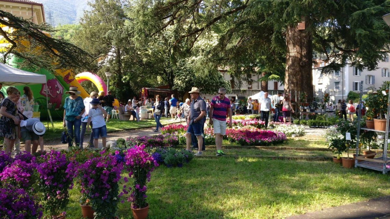 Festival di primavera con la Proloco