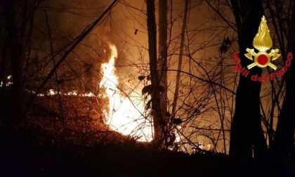 La grigliata di Capodanno finisce per distruggere un bosco: 13 milioni di multa a due ventenni