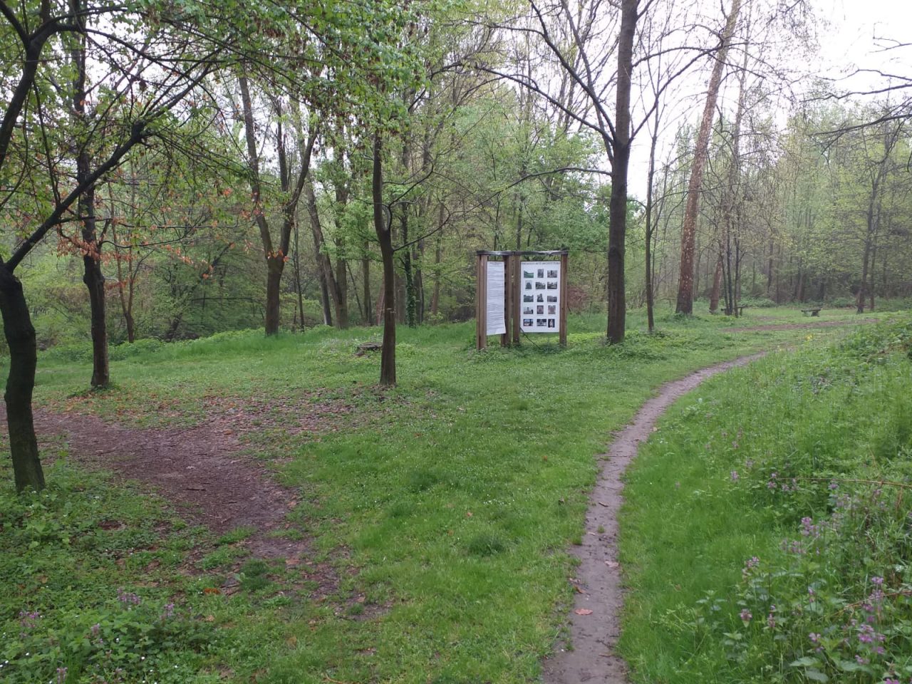 Il maltempo blocca la giornata scodinzolante di San Paolo