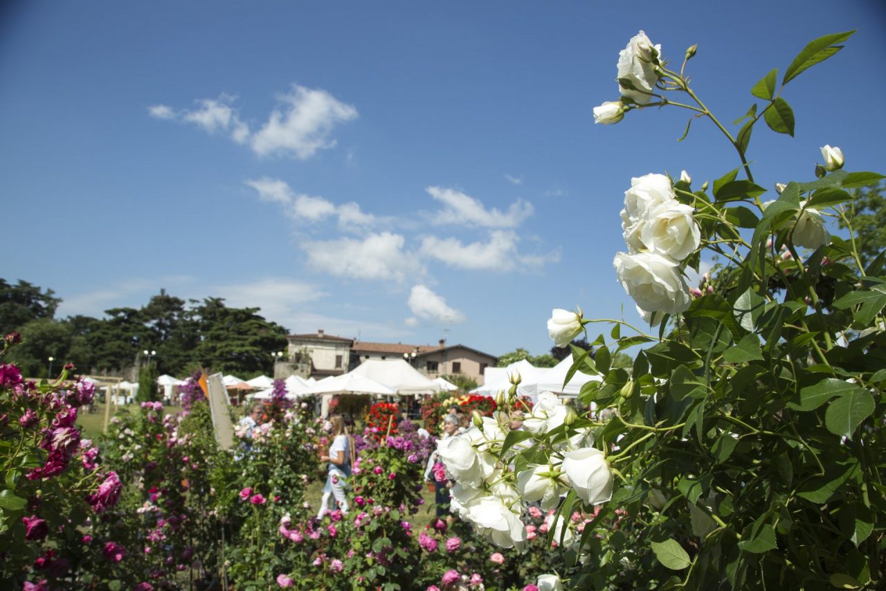 Franciacorta in fiore: al via la 22esima edizione