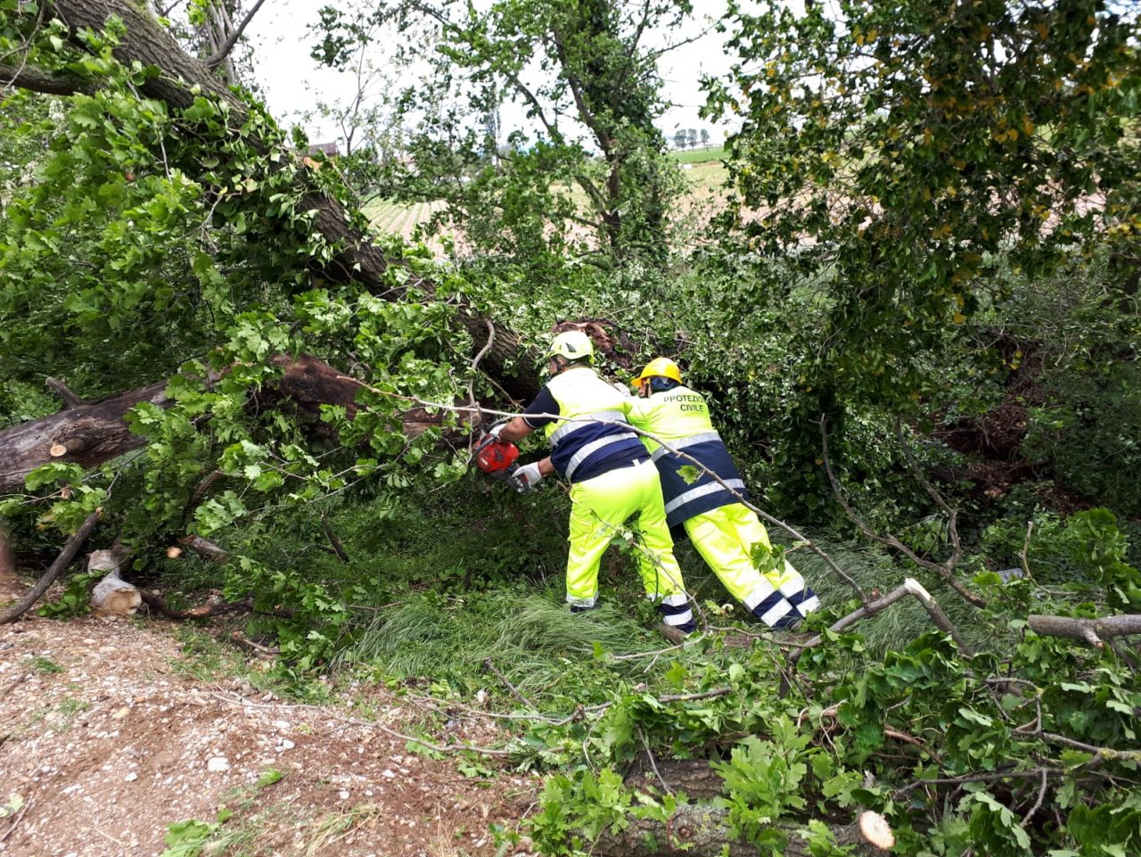La Protezione Civile dei Colli ha funzionato