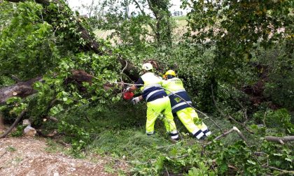 La Protezione Civile dei Colli ha funzionato