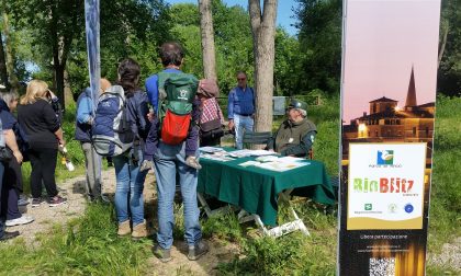 Bioblitz a Parco Bertone