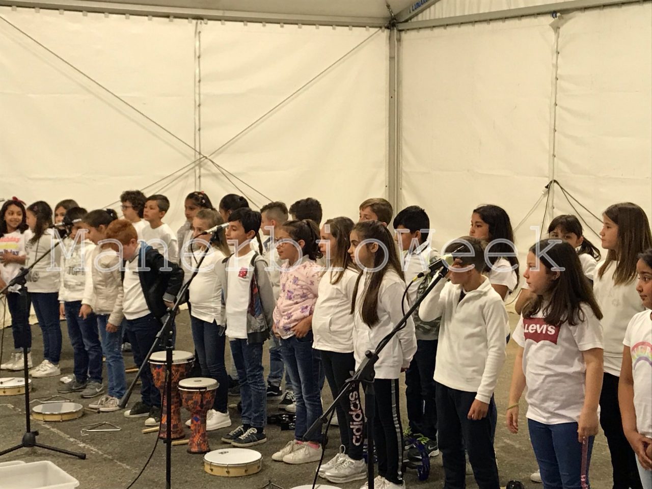 Ad Alfianello Musicando s’impara