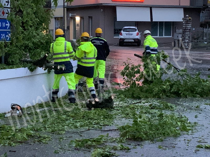 Ancora vento e alberi caduti nell’Alto Mantovano