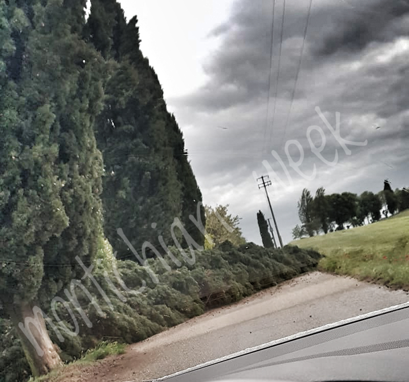 Ancora alberi caduti a Castiglione