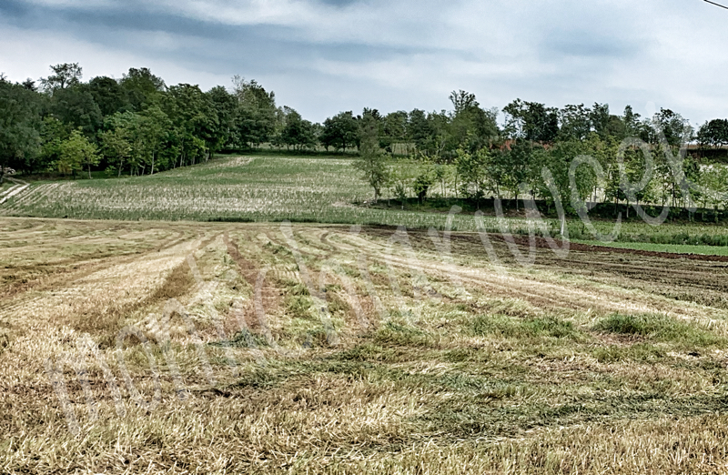 Cattivi odori nelle campagne