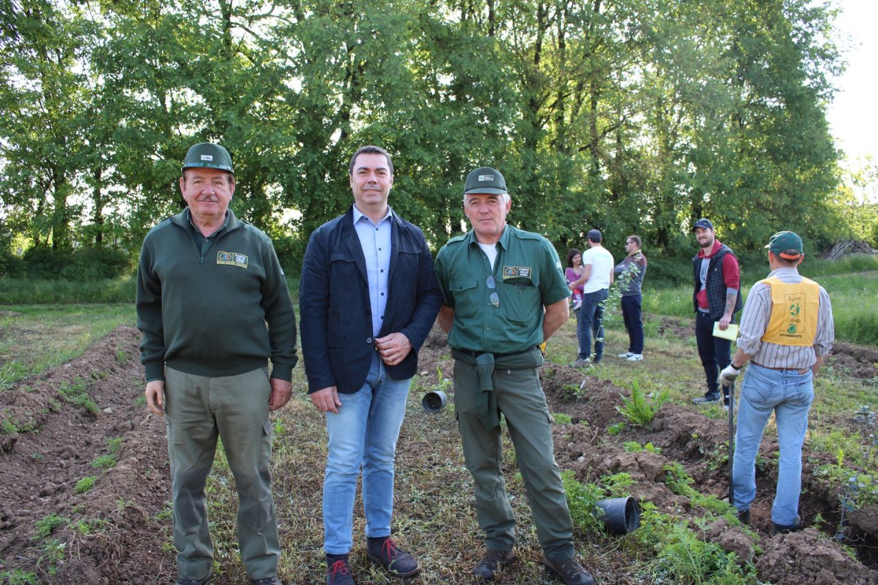 Un albero per ogni nuovo nato a Pontoglio
