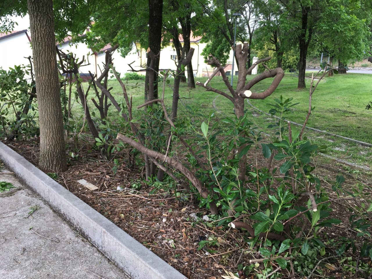 Piazzole ecologiche ripulite