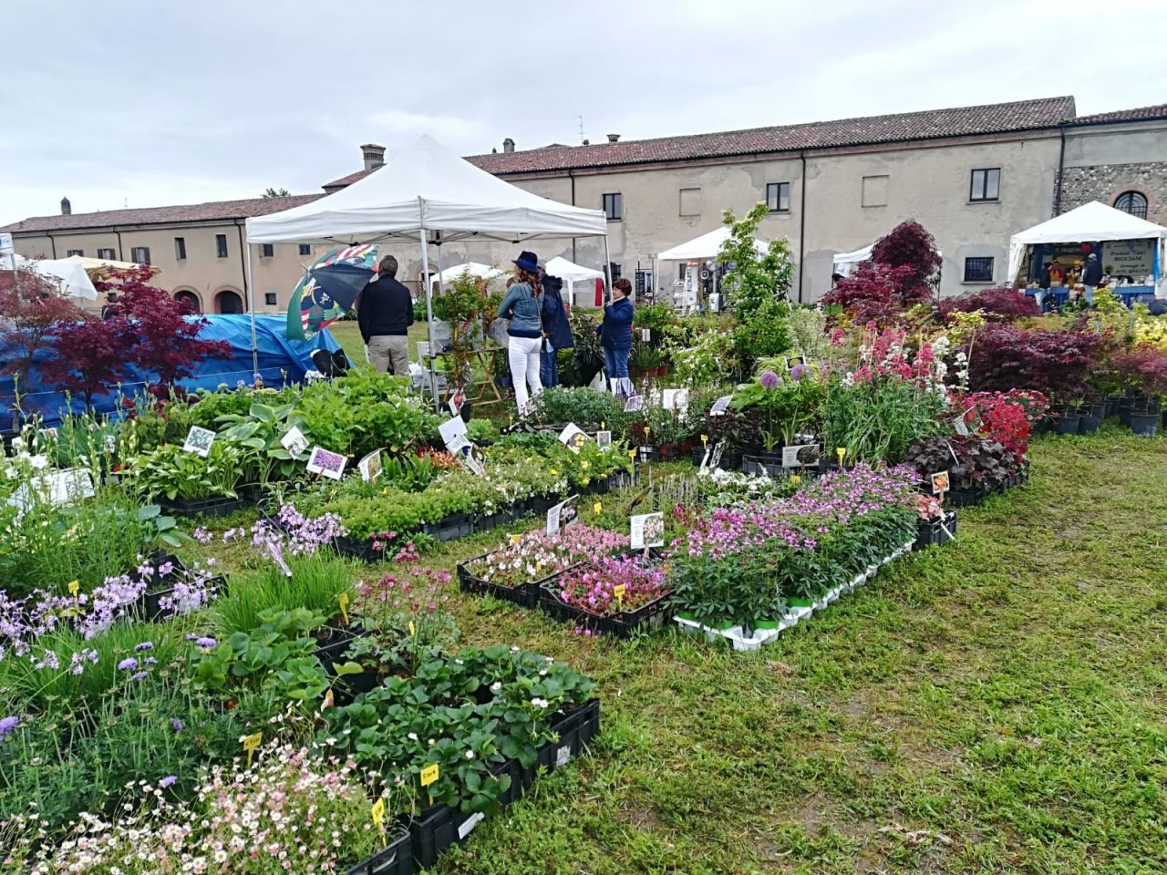 Calino sboccia con la XXI Franciacorta in Fiore
