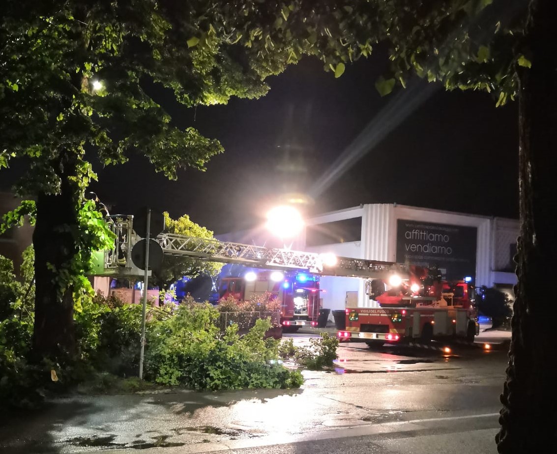 Albero cade su un cancello a Manerbio