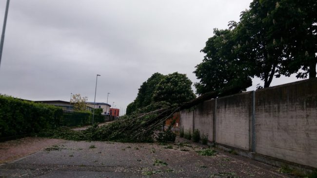 Maltempo, temporale violentissimo tra Bassa Bresciana e Alto Mantovano: alberi sradicati e pericolo sulle strade