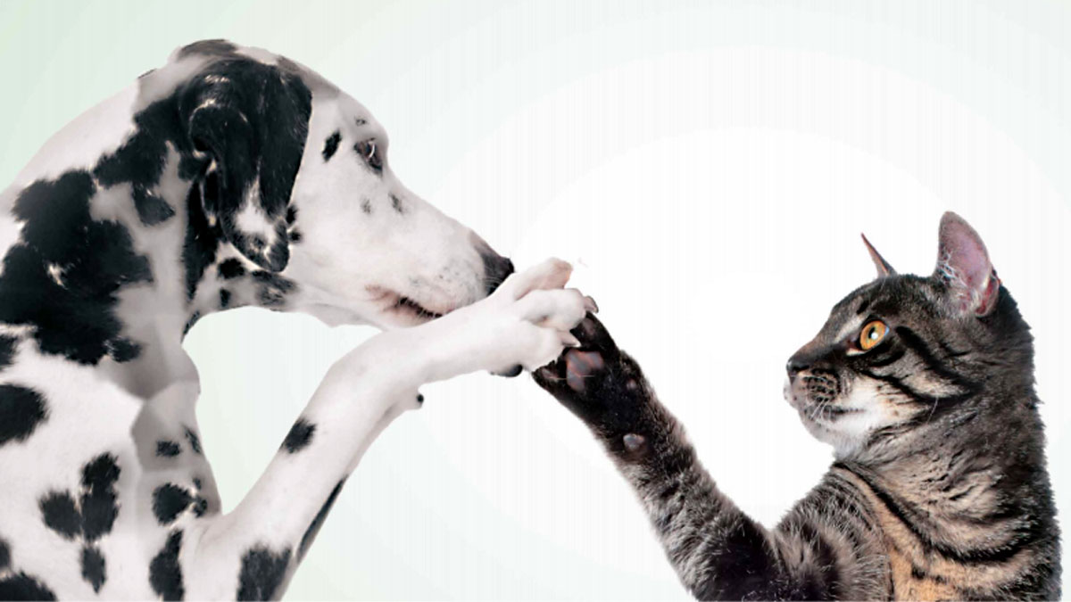 “Diamogli una zampa”: Esselunga con Federazione Italiana Associazione Diritti Animali e Ambiente