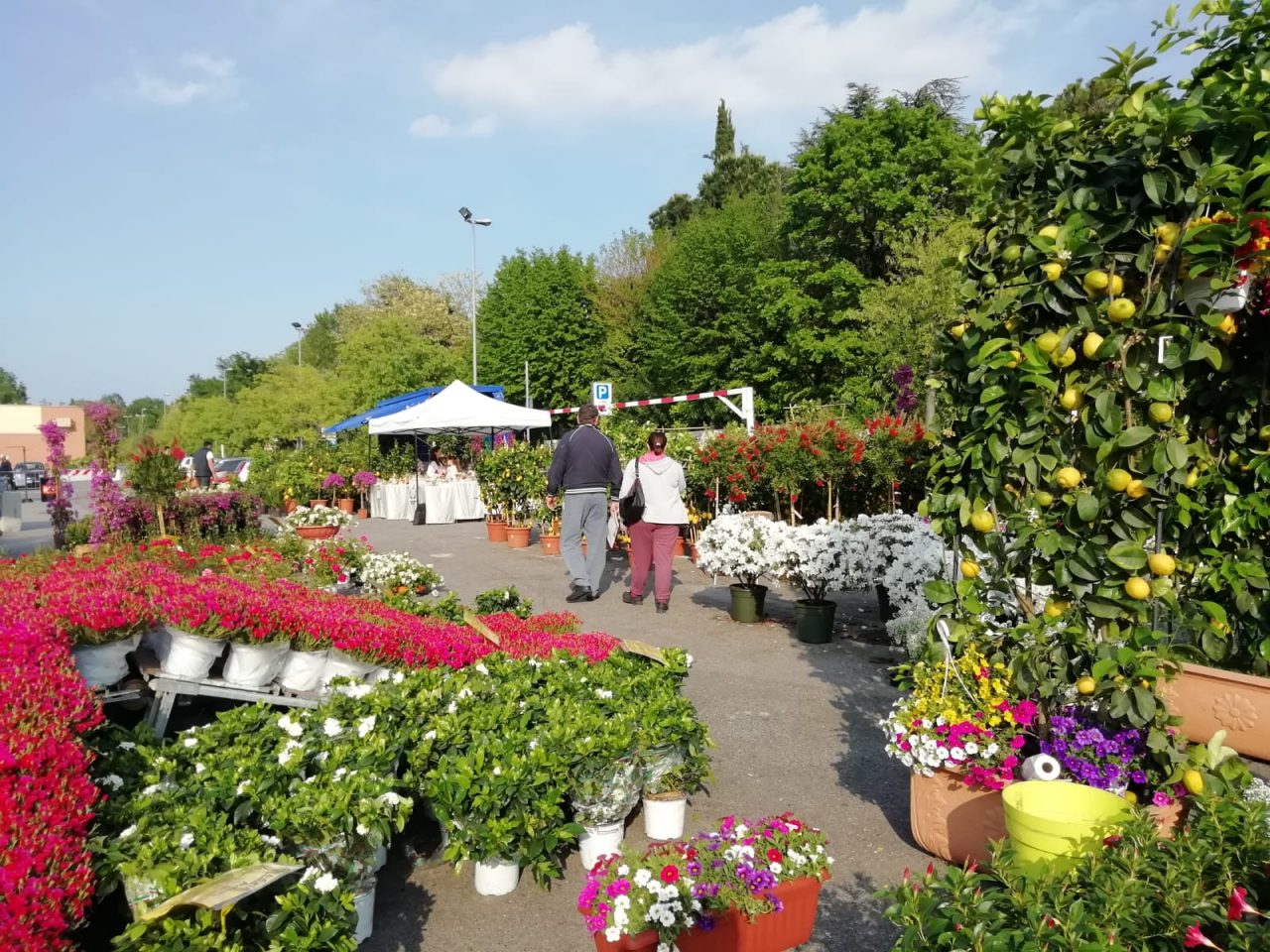 Al via la tredicesima Padenghe Verde