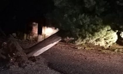 Maltempo Erbusco: cade un cipresso, strada chiusa vicino al cimitero