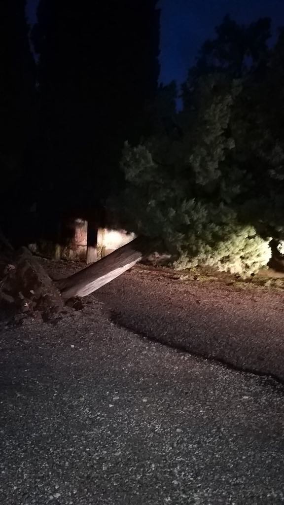 Maltempo Erbusco: cade un cipresso, strada chiusa vicino al cimitero