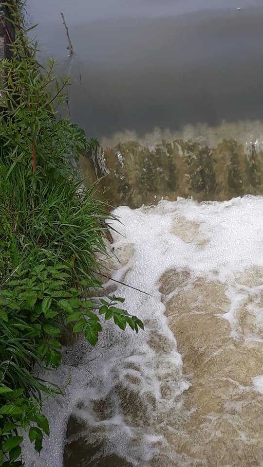 Il Codacons fa esposto alla Procura per danno ambientale