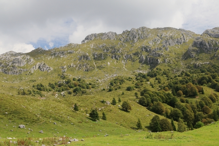 Truffa da più di 2 milioni di euro, arrestati imprenditori agricoli