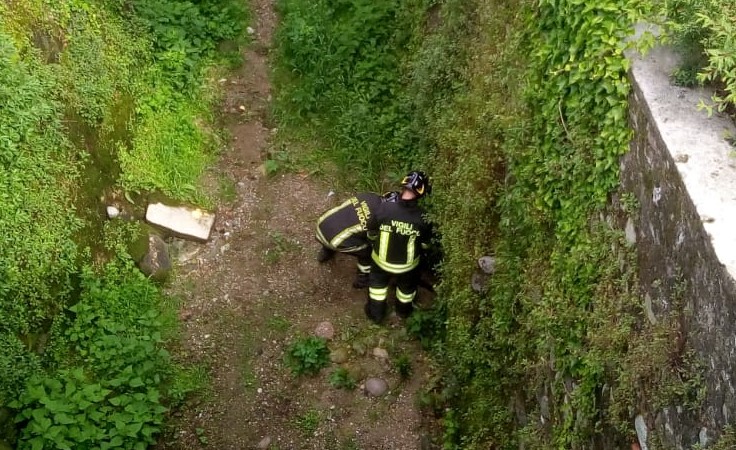 I Vigili del fuoco salvano un cane a Palazzolo