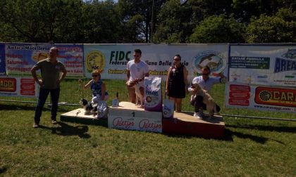 Sesta esposizione cinofila a Palazzolo sull’Oglio VIDEO