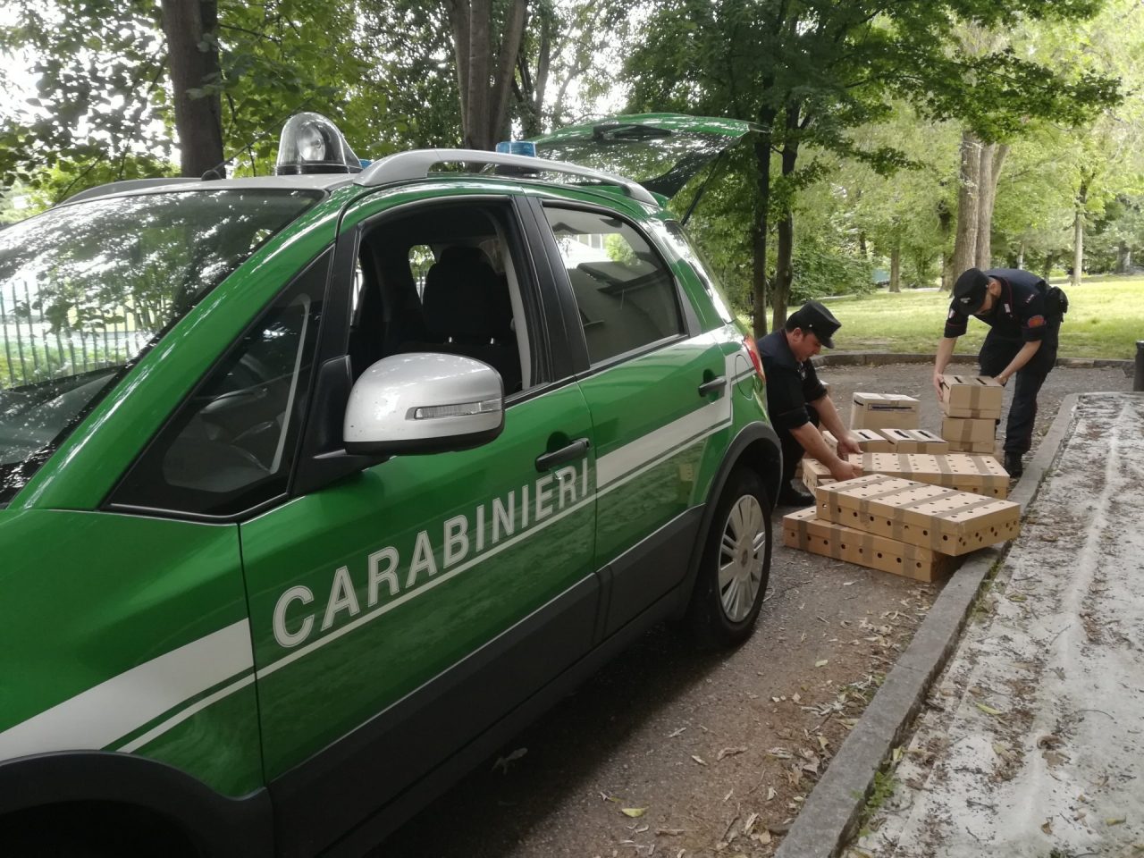 Trafficava uccelli selvatici, fermato bracconiere bresciano