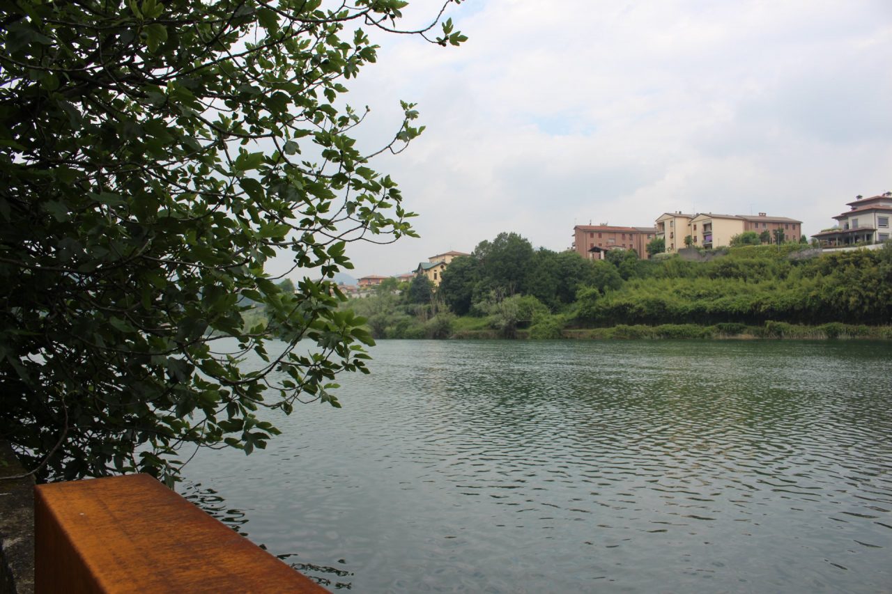 Banchetto informativo per difendere la garzaia nel Parco taxodi