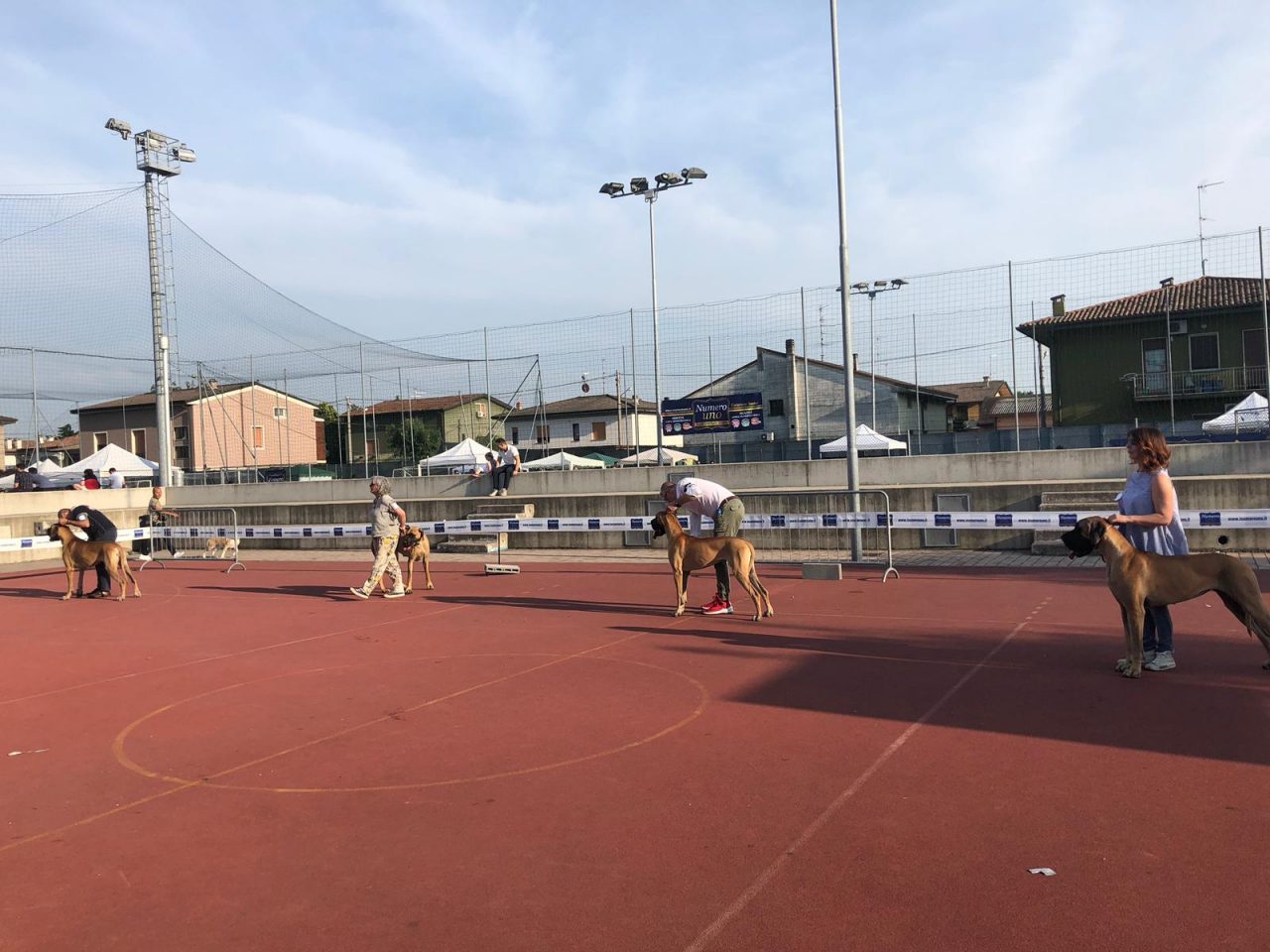 Eccellenze a quattro zampe all’Expo canino di Castelcovati