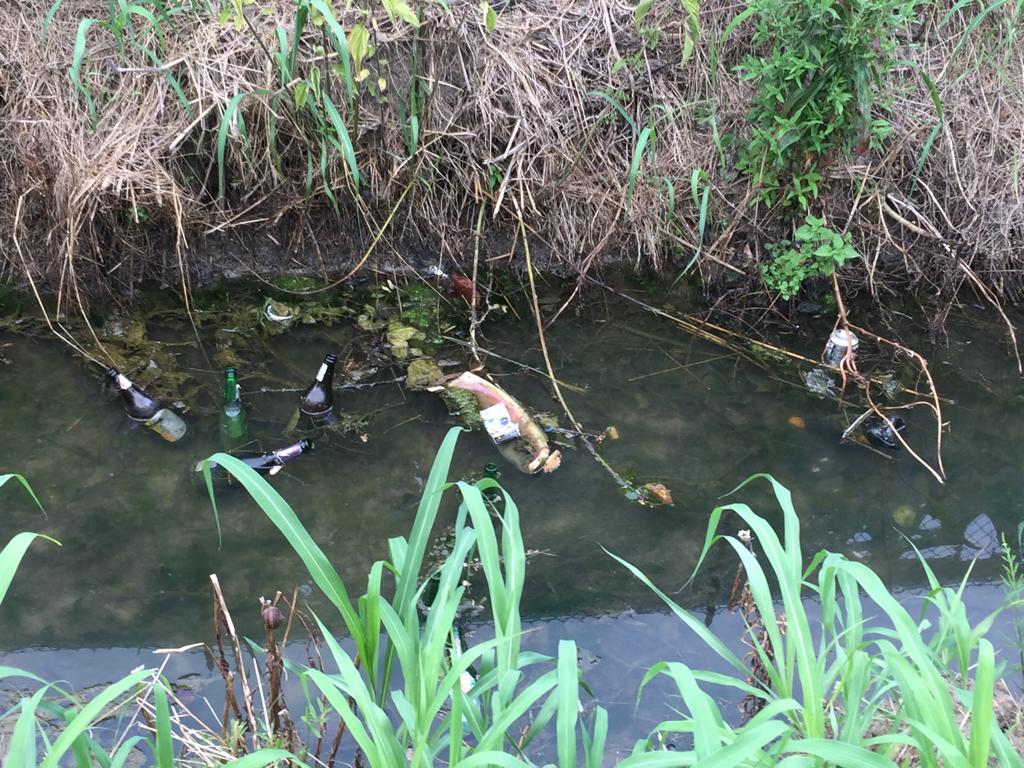 Alcool, schiamazzi e corse clandestine disturbano Manerbio