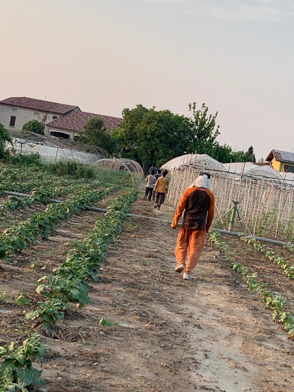 In manette per caporalato, evade dai domiciliari e viene riarrestato