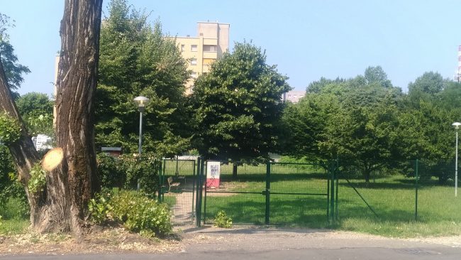 Aggredita da un cane, brianzola amputata di gambe e mani